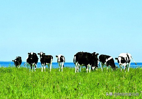 中国乳业之殇,中国乳业十年