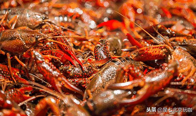 美食推荐小龙虾北京,轰趴馆小龙虾