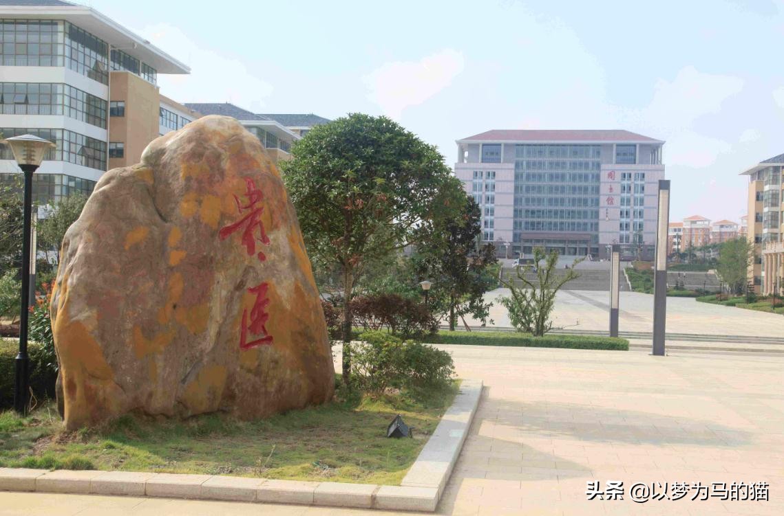 中国医科大学最好的专业排名榜,这六个医学专业很吃香