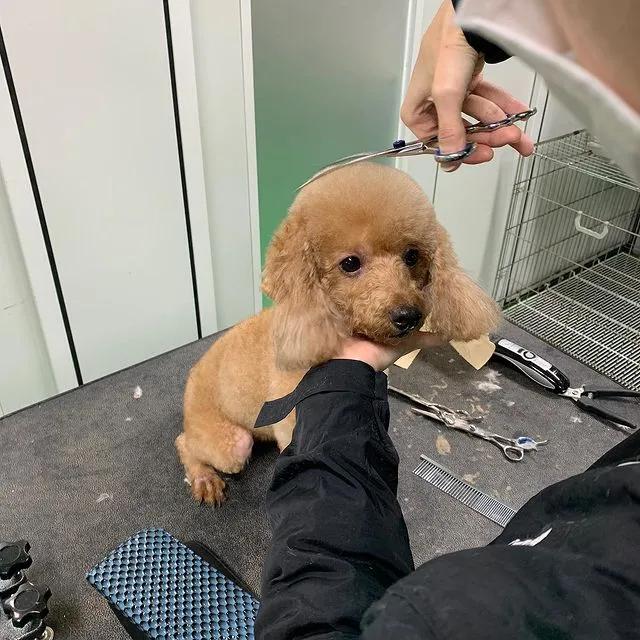 tony老师高阶换头术,90后tony老师换头术