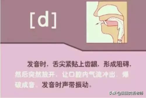 基础英语48个国际音标详解，赶紧来学习！