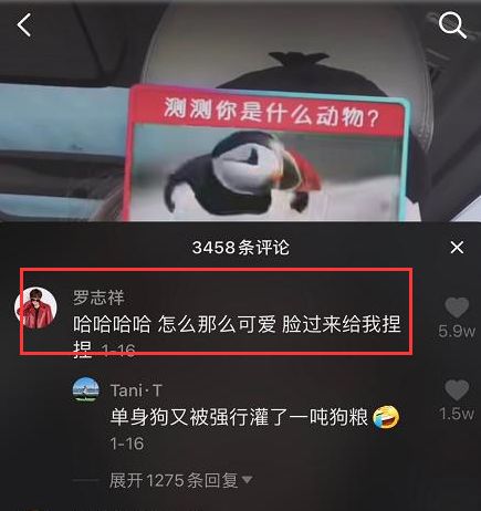 罗志祥与周扬青分手了没有,罗志祥与周扬青分手第一次现身