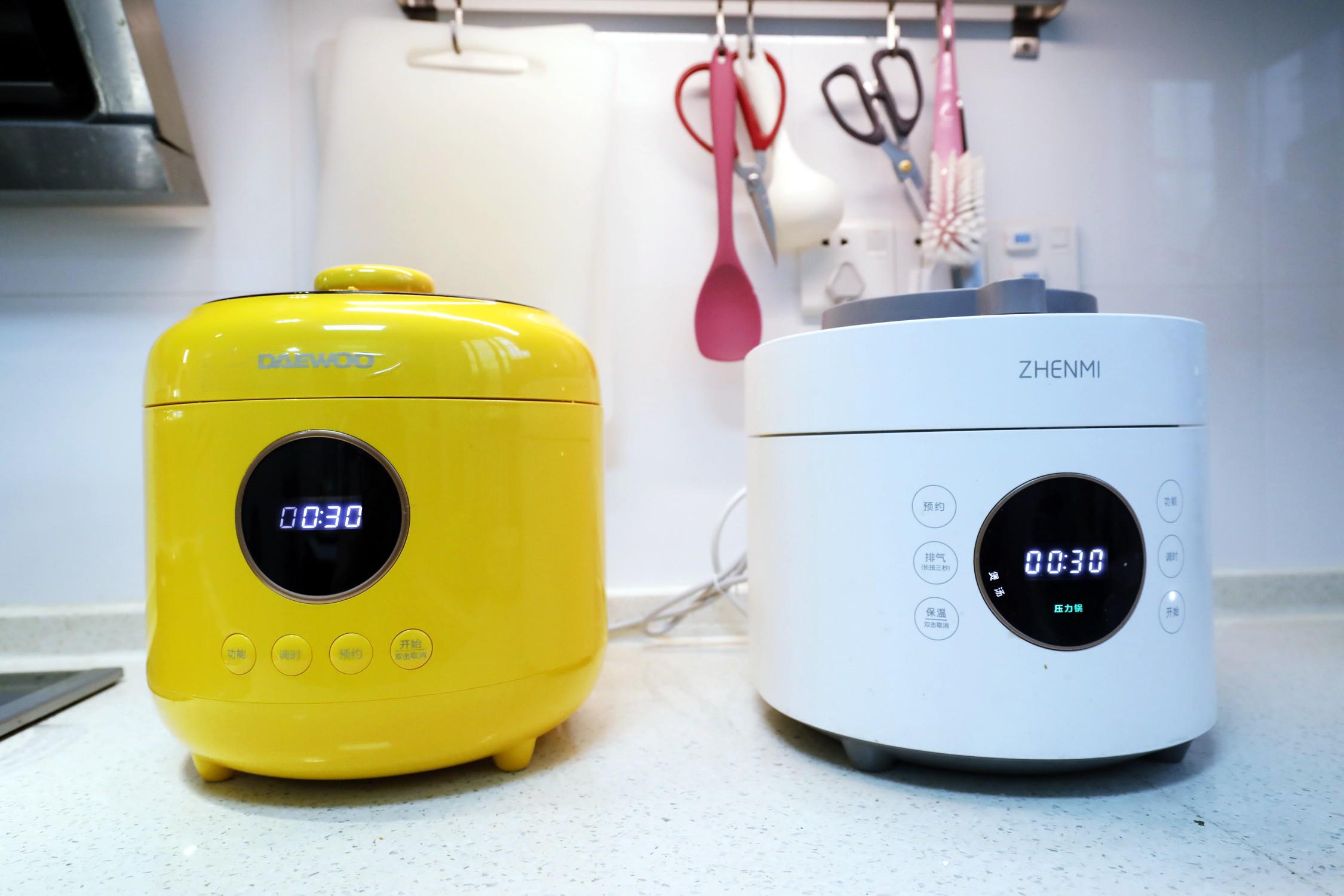 蒸煮两用电压力锅哪个牌子好,家用压力锅和微压锅哪个好