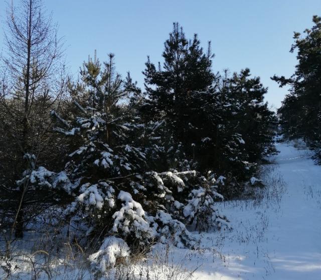 吉林市最冷的景点,吉林省冬季自然景观