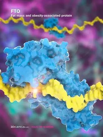 苦涩的咖啡和浓烈的酒,苦涩的咖啡与茶