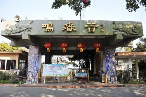 去了广州必去的十个地方,到广州最值得去的地方