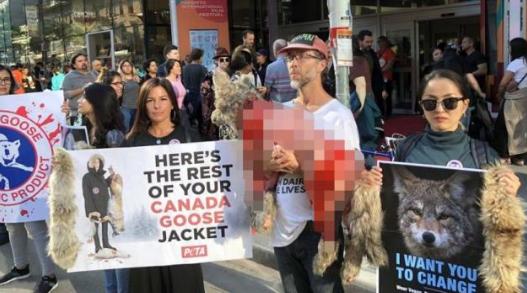 为什么加拿大鹅羽绒服这么贵,国内什么羽绒服能媲美加拿大鹅