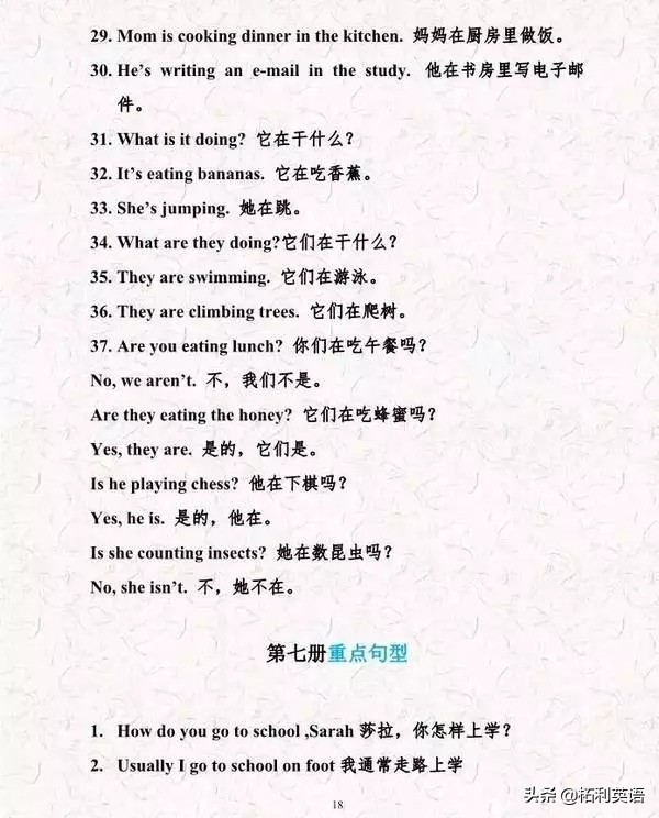 小升初拓展单词词组句型,老师小升初英语复习计划