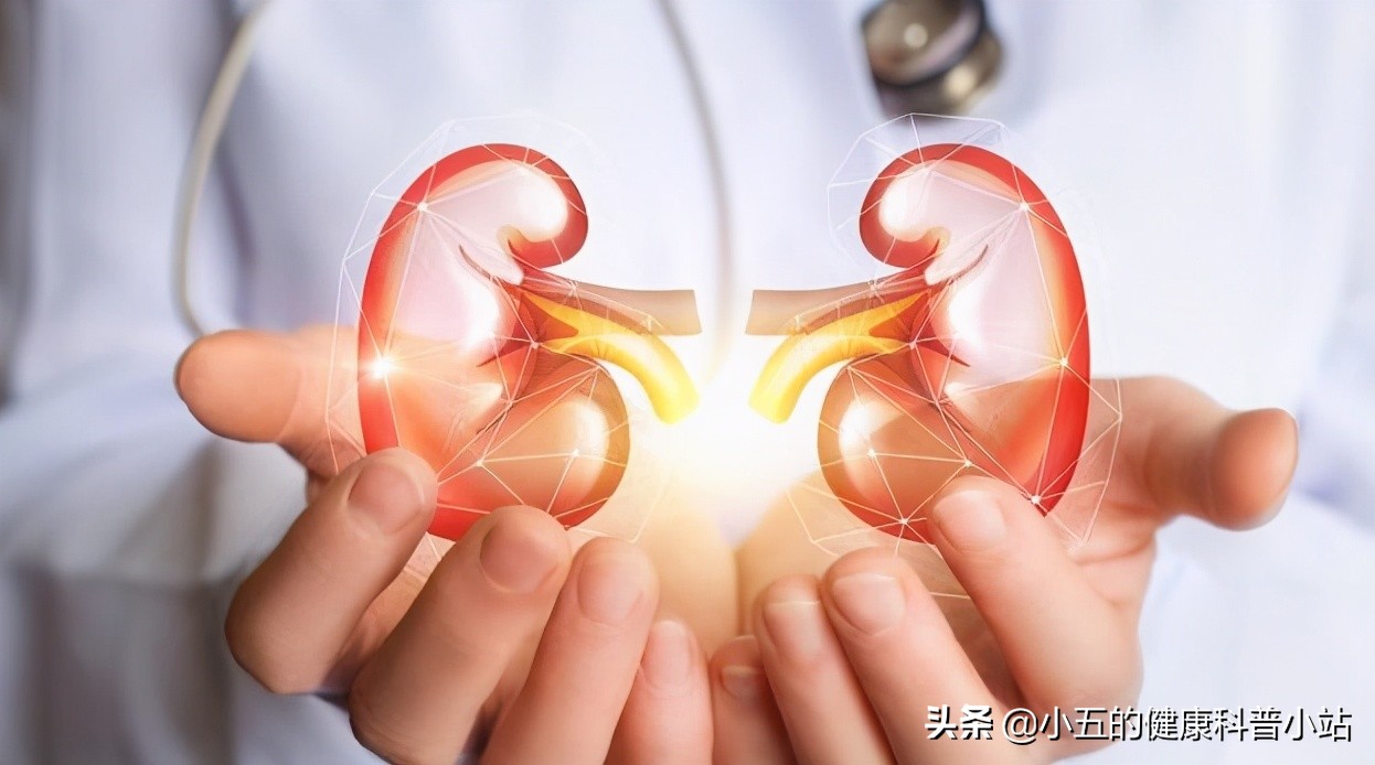 百令胶囊的十大功效主治疾病,中成药百令胶囊功效和副作用