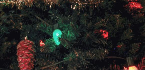 国外的恐怖片好看的有哪些,外国的恐怖片为什么这么恐怖