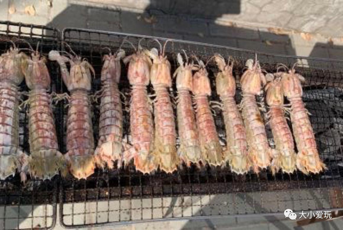 北京野游烧烤好去处,北京可以野外可以烧烤的地方