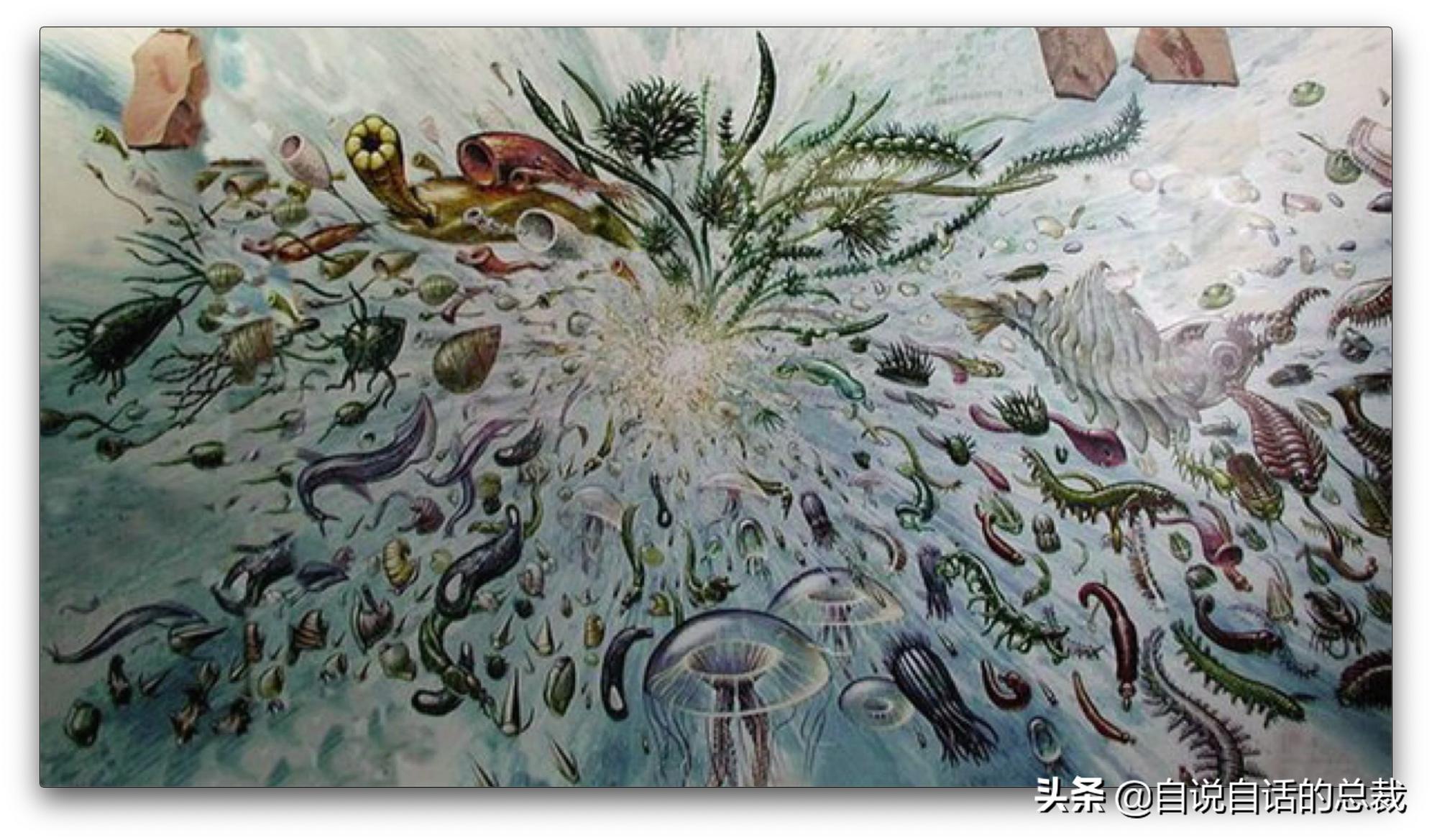 月球是重启地球的开关，地球曾被重启七次？月球背后的宇宙秘密