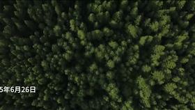 这两名犯人打破了美国监狱180年的记录，他们是如何做到的？