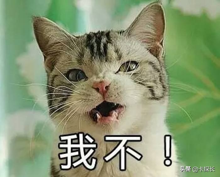 不小心信用卡逾期了怎么办,不小心信用卡付款了怎么办