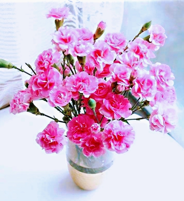 母亲节愿天下所有母亲快乐健康,母亲节愿天下所有的母亲幸福安康