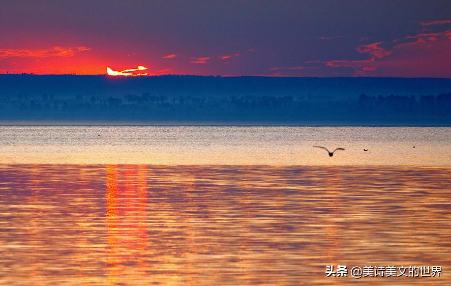 苏轼帮了才女后，送了她两句诗，对方听完感激不已，出家当了尼姑
