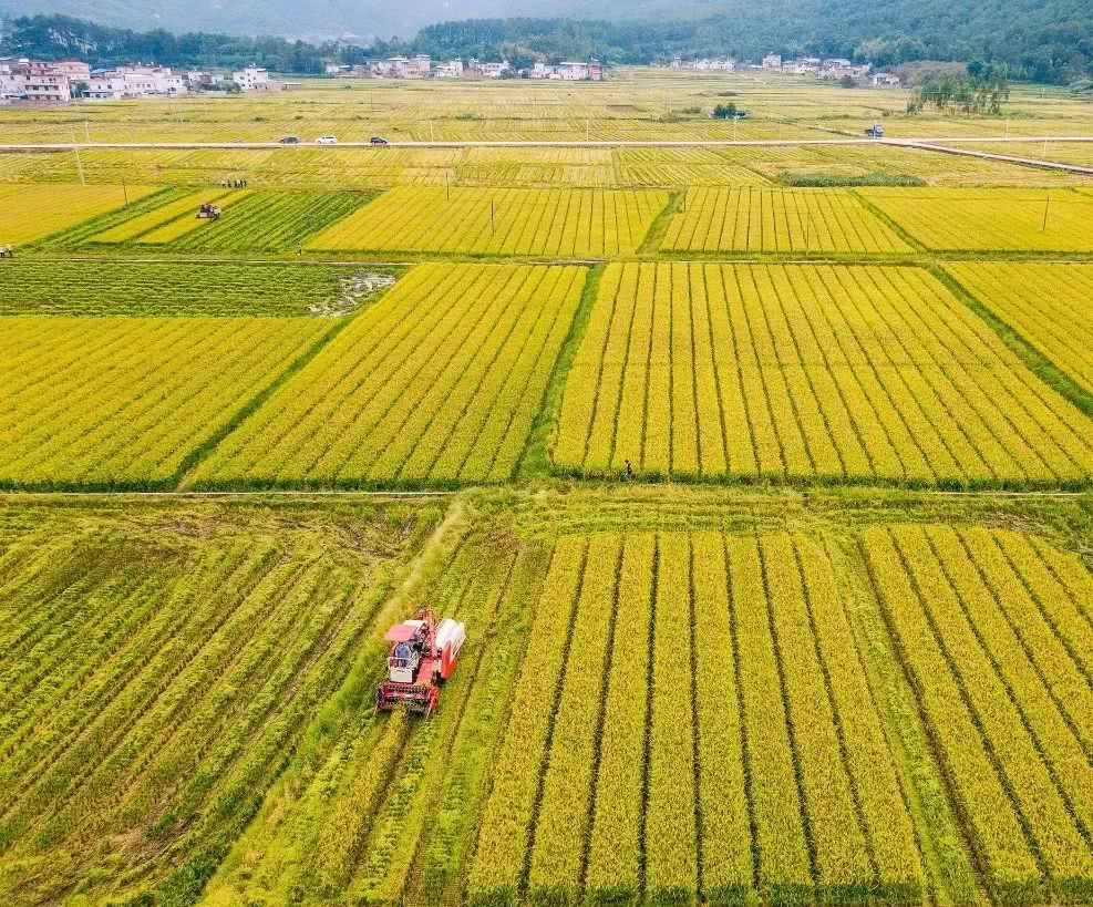 ​农村这“2个证件”即将发放，统一领取要及时，可别耽误了​