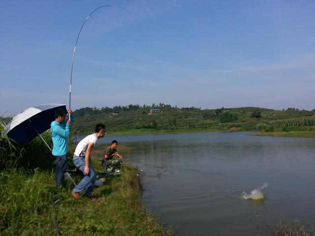 哪些地方可以钓到大草鱼,在野外能钓到大鱼吗