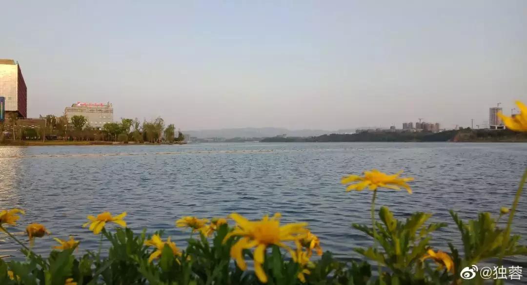 成都冷门旅游景点推荐,最新最全成都75个免费景点