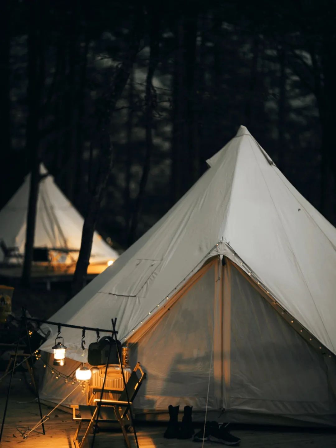 人类森林露营,人类高质量游览