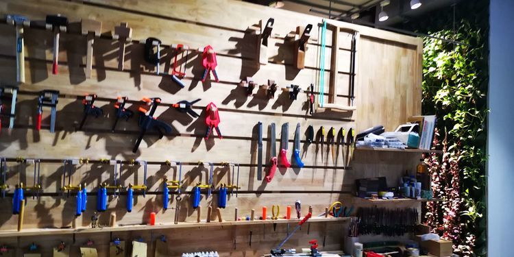 三亚红树林有亲子活动,三亚红树林和海韵