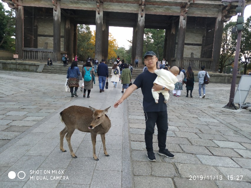 3月底日本关西8日游攻略,日本关西旅游攻略七日游