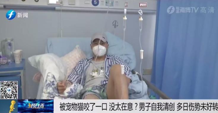 一个人在家里被大狗咬了,宠物猫咬主人一口主人被截肢