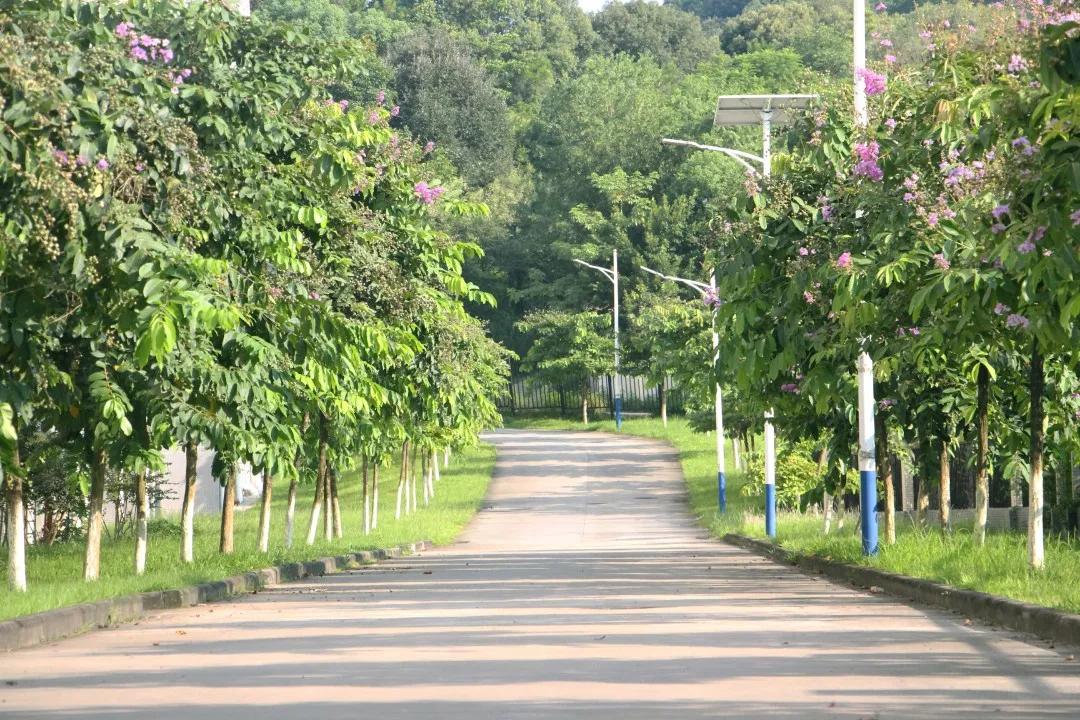 广东青年职业学院宿舍,广东青年职业学院宿舍怎么样