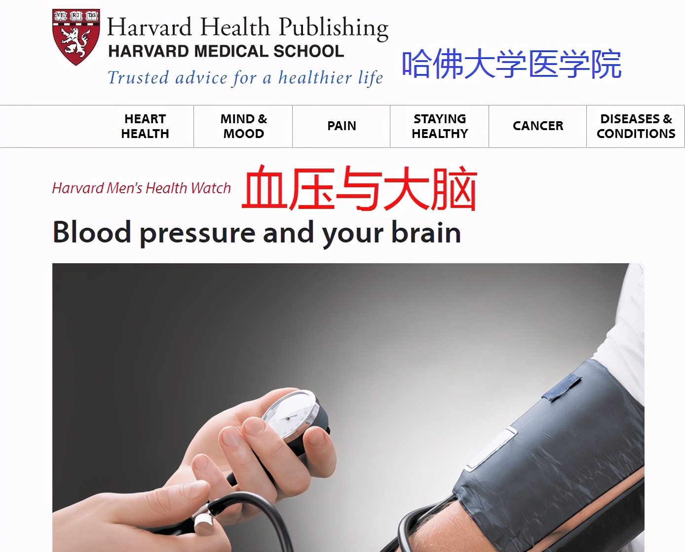 高血压大脑有什么影响,更年期高血压的症状和表现