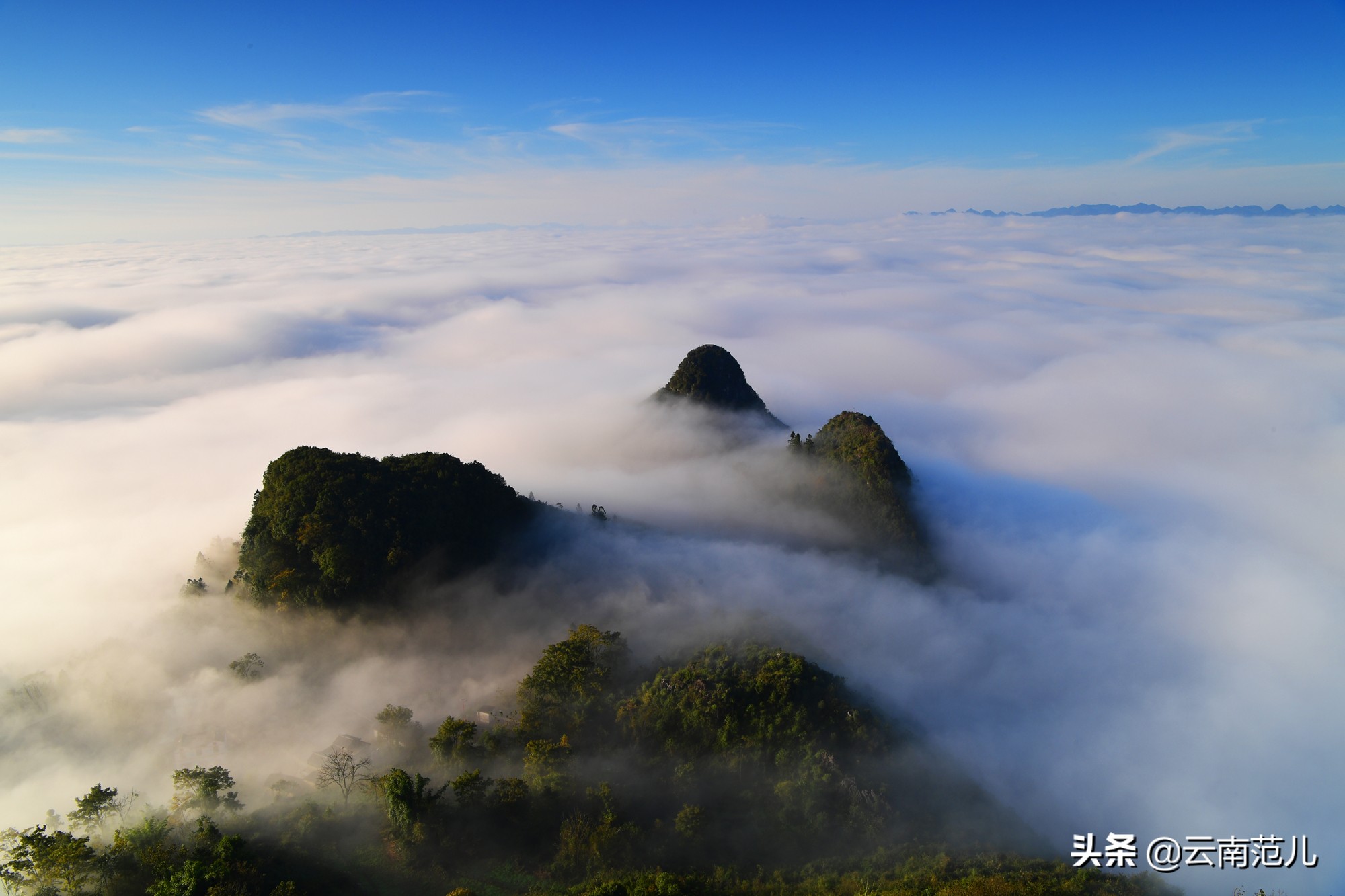 云南的油菜花哪里出名,云南一个地方都是油菜花