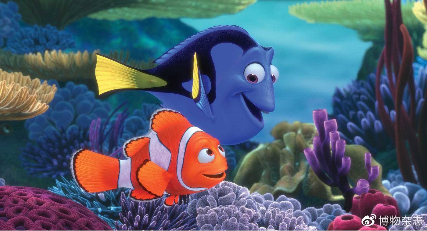 迷你小鱼缸底滤缸制作教程,小鱼缸雨林缸制作全过程