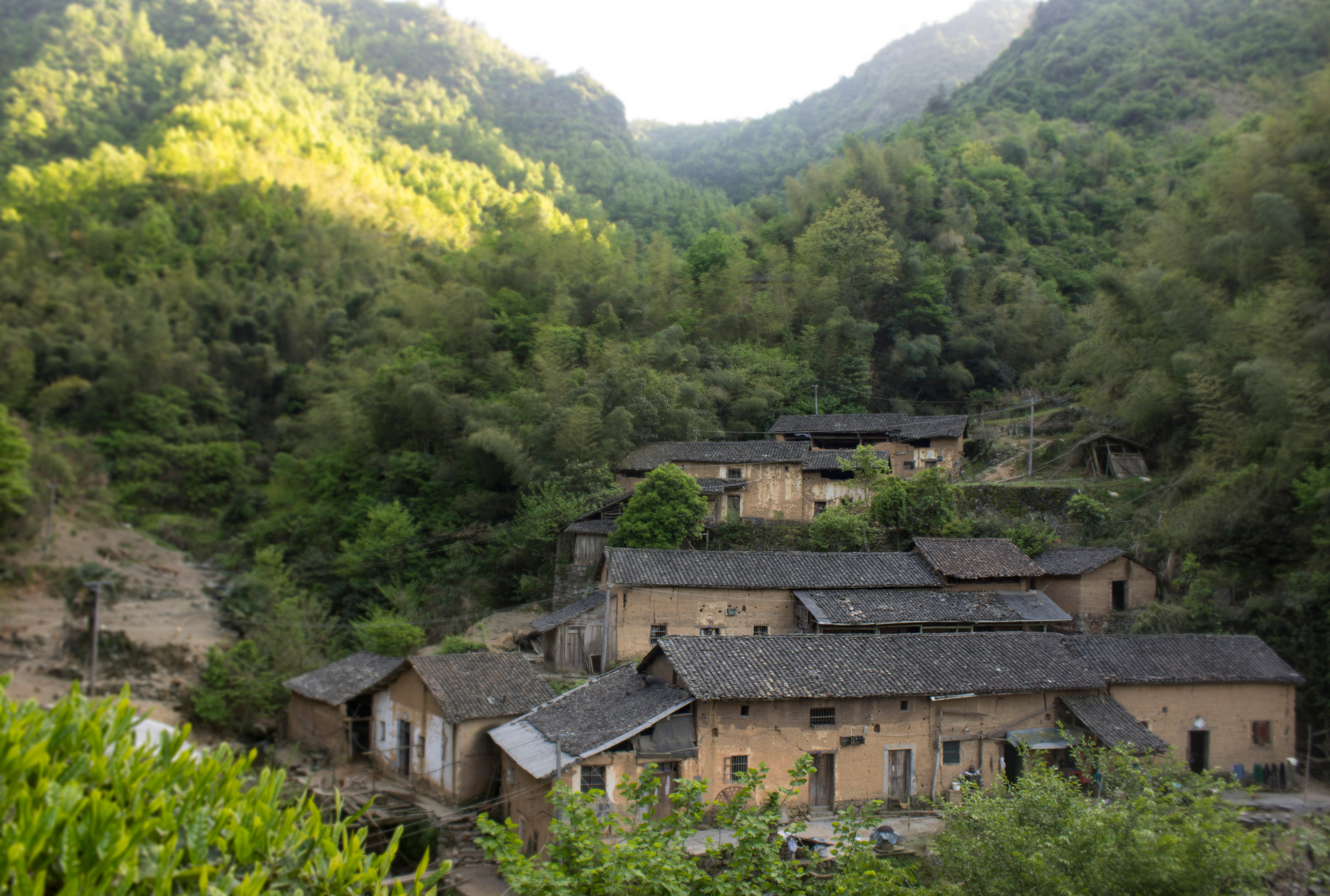 养殖2000只土鸡的成本与利润,怎么养土鸡赚钱