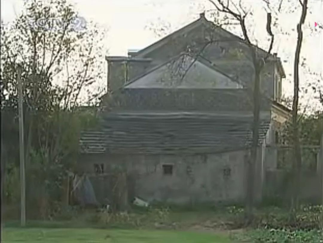 一个破产首富的回归,浙江女首富破产重整