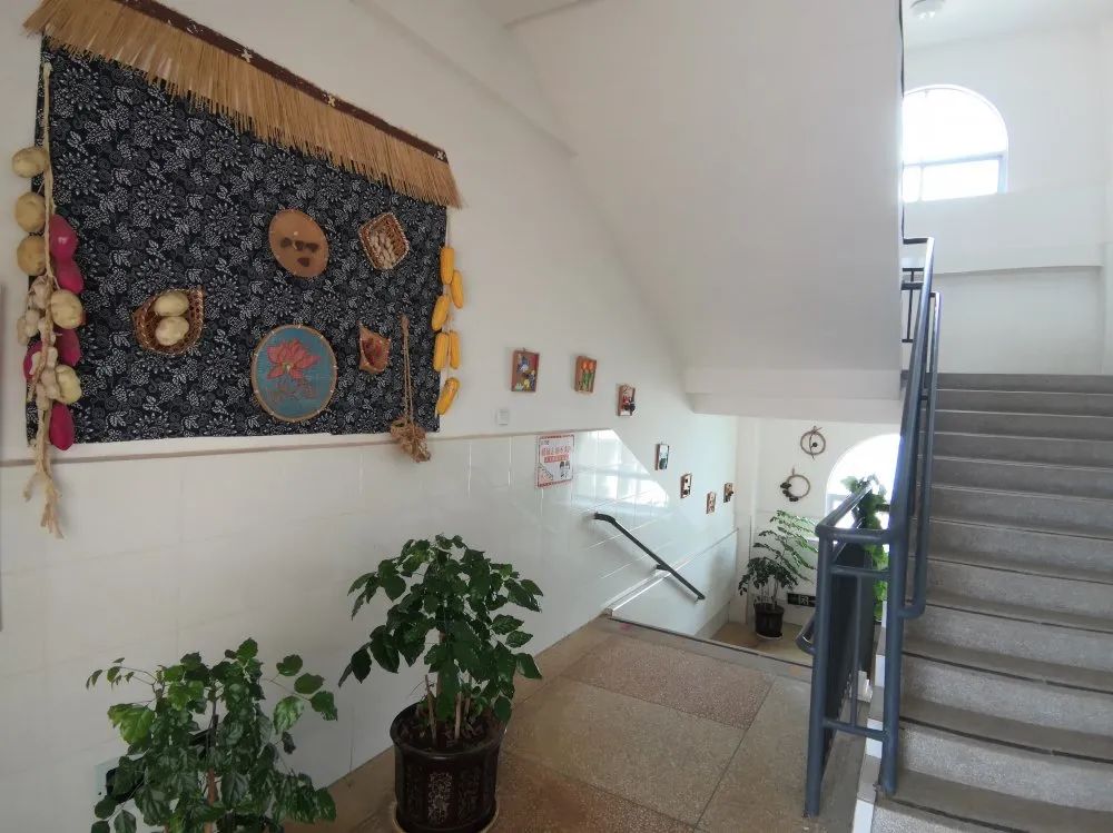 寻找最美校园|梦想启航的地方（幼儿园篇）