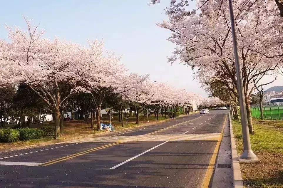 身份证410、411、412开头的，去了郑州就等于去了全世界