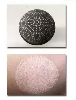 十大公认好用的气垫干皮不卡粉,气垫遮瑕持久不脱油皮妆第一名