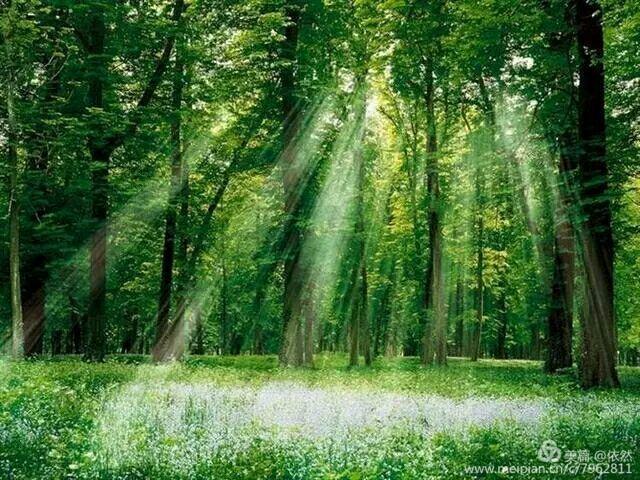 最美的回眸一笑,回眸一笑百态人生