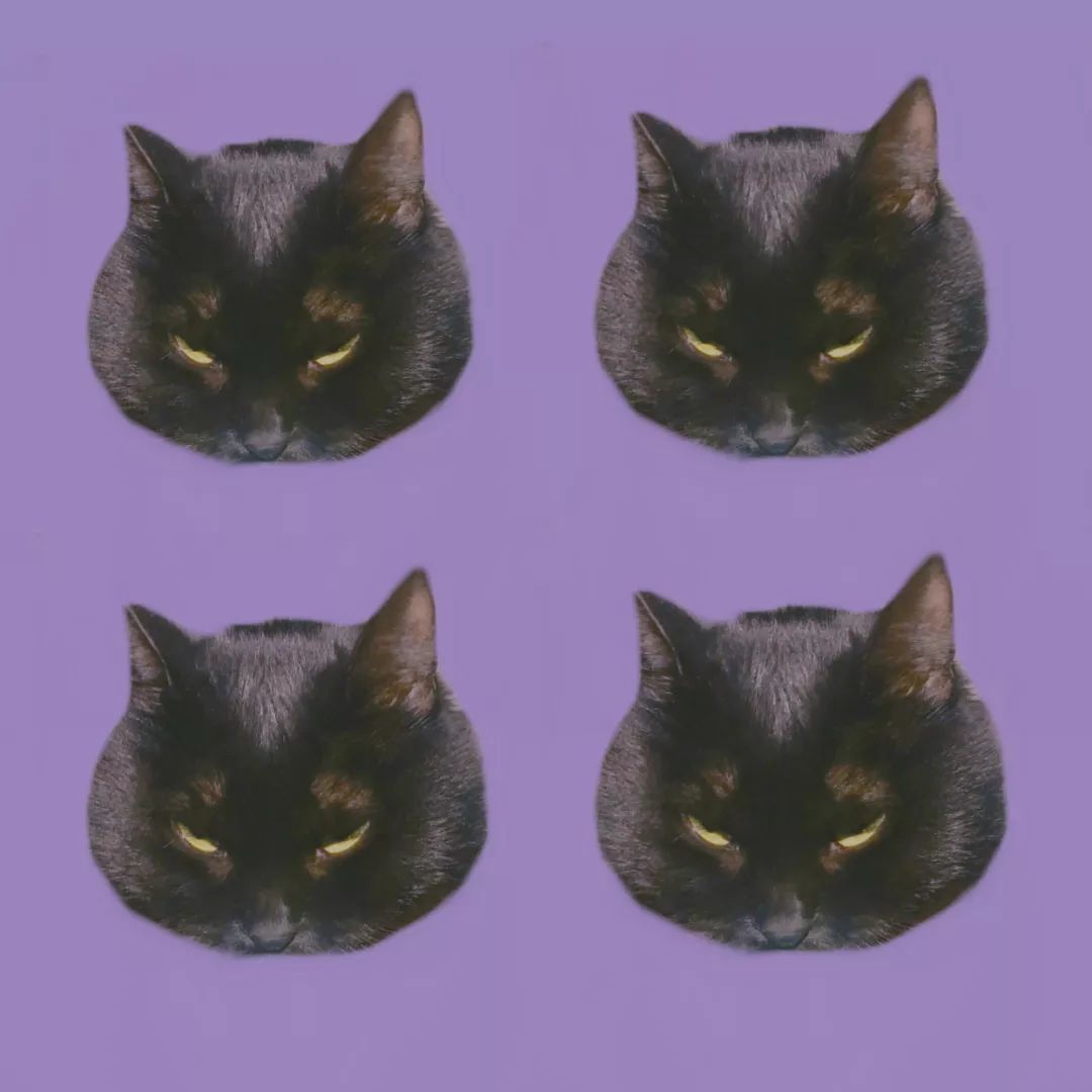 一只鸭子一万五元,一只鸭子一万多