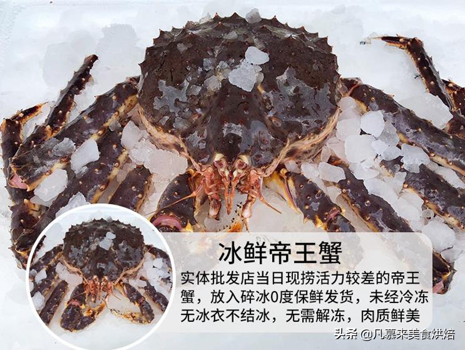 帝王蟹怎么处理？如何选购帝王蟹？哪种好吃？帝王蟹的五种吃法