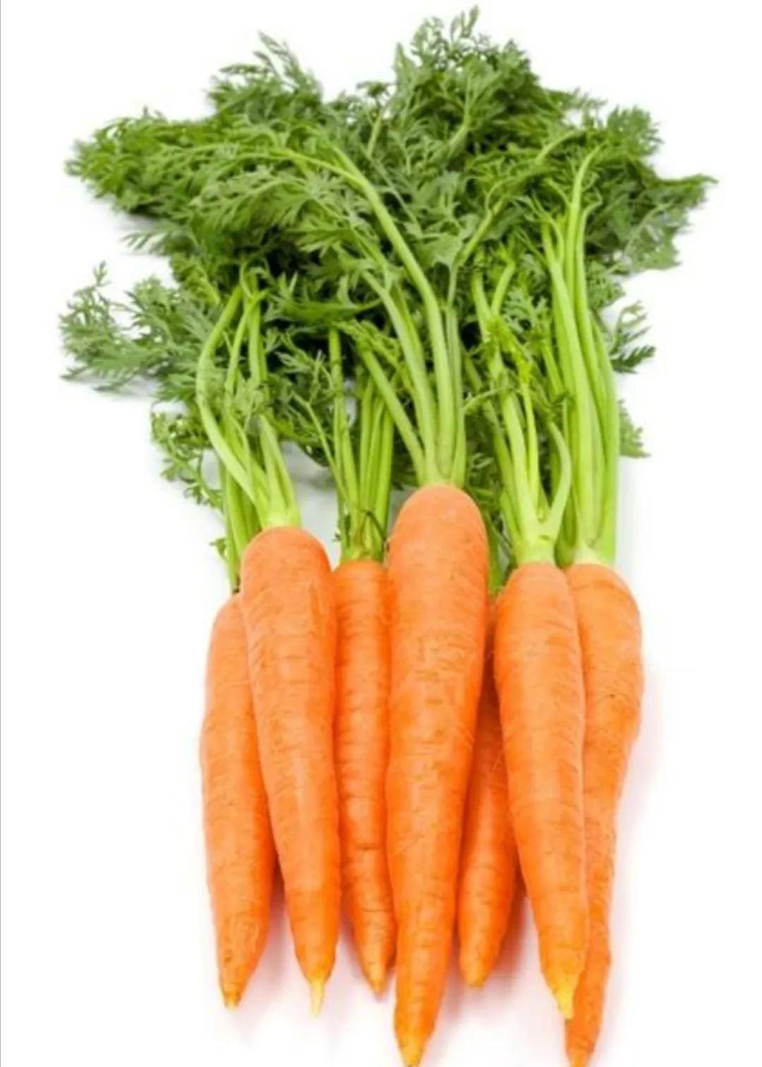 脂肪瘤食疗食谱大全,去除脂肪瘤的食谱