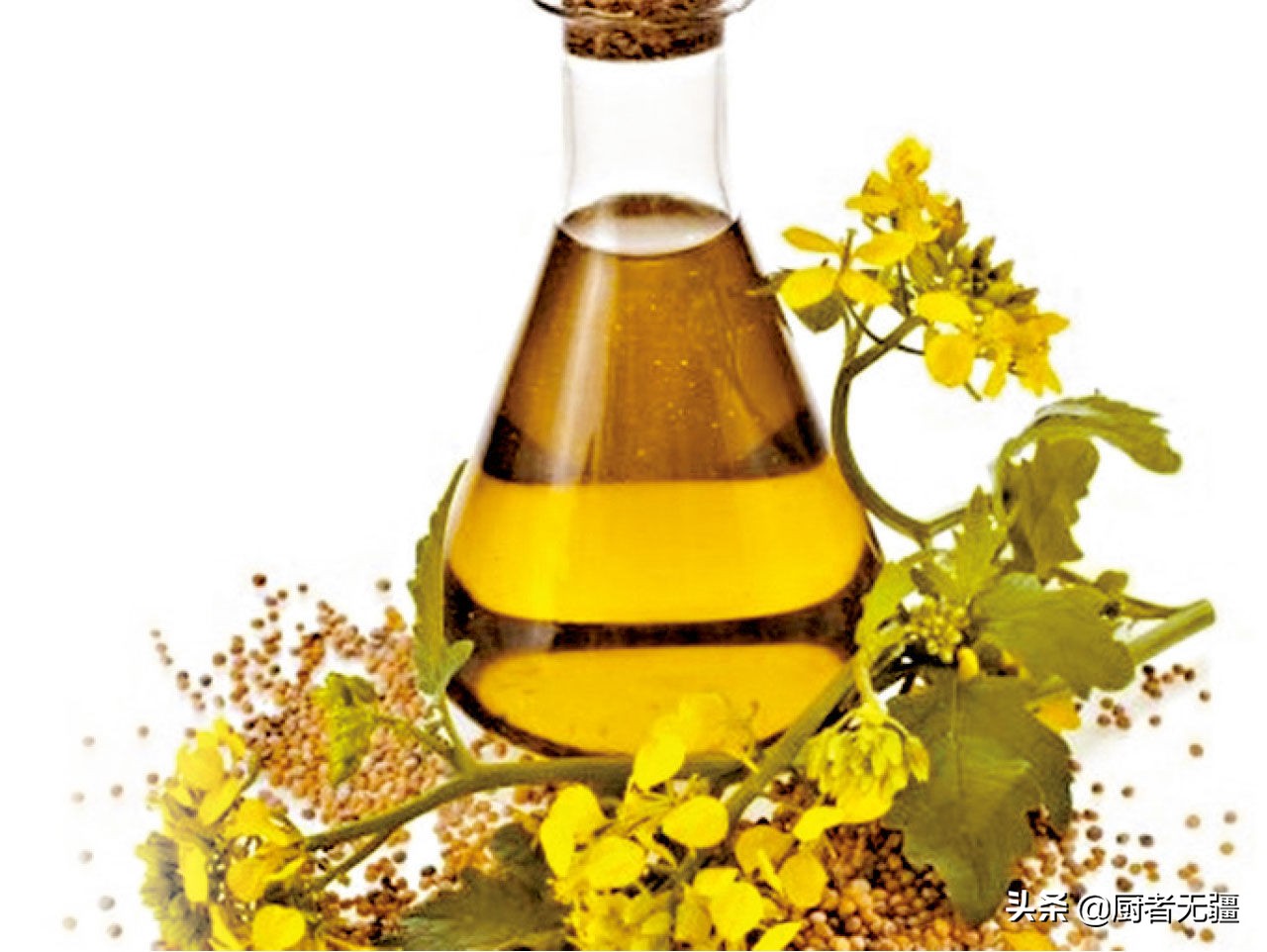 各种食用油的脂肪酸营养价值,各类食用油的成分