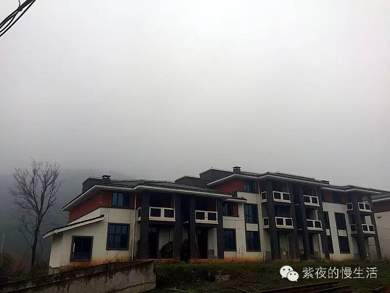 避开了人潮拥挤去哪都是风景,避开人潮打卡常州风景线