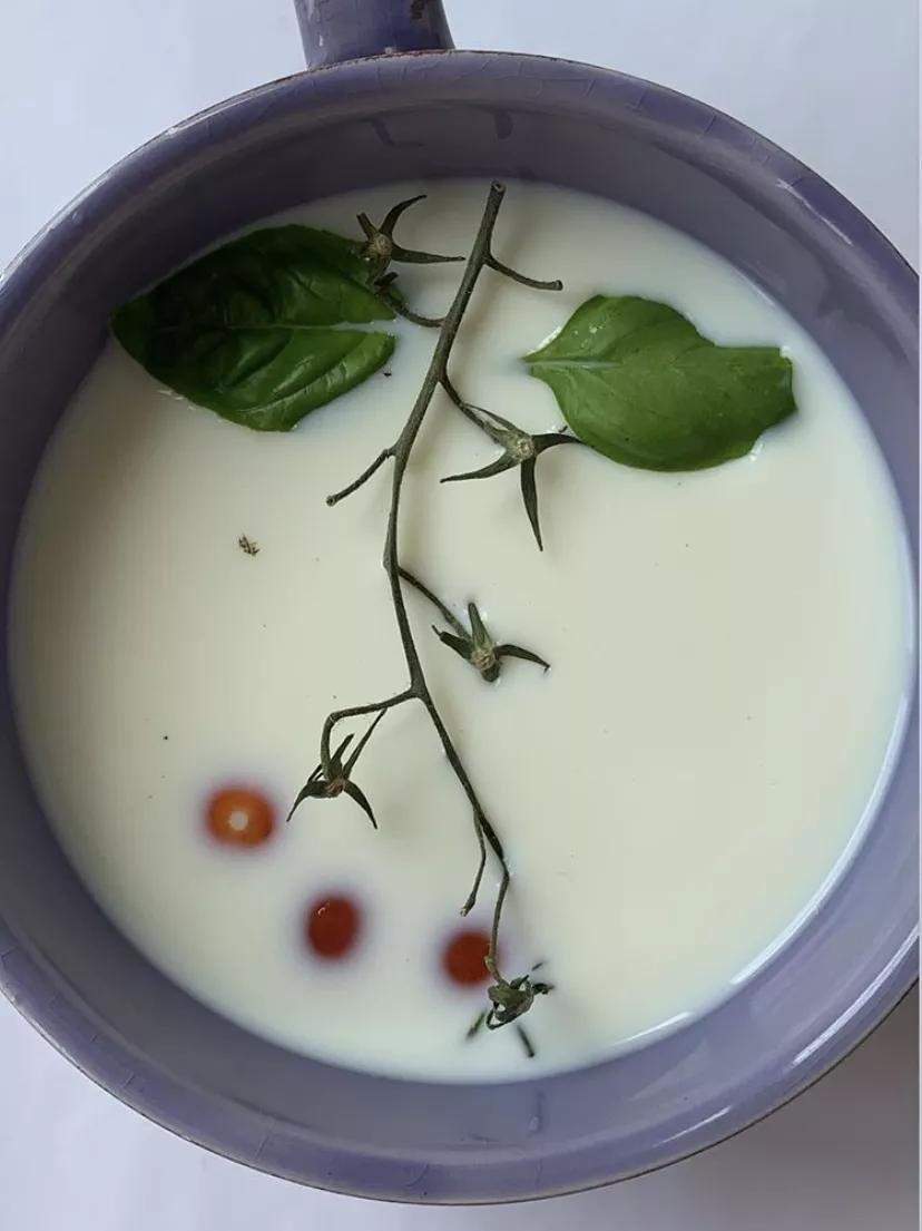 好物丨Jacquemus：从无名小镇闯入世界，南法农夫的时尚逆袭