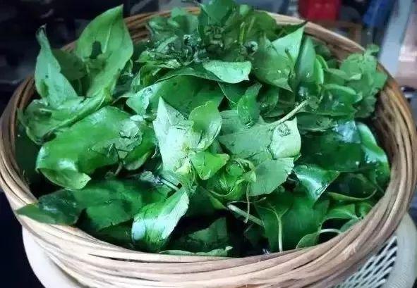 佛山新年美食有哪些,佛山春节不打烊美食