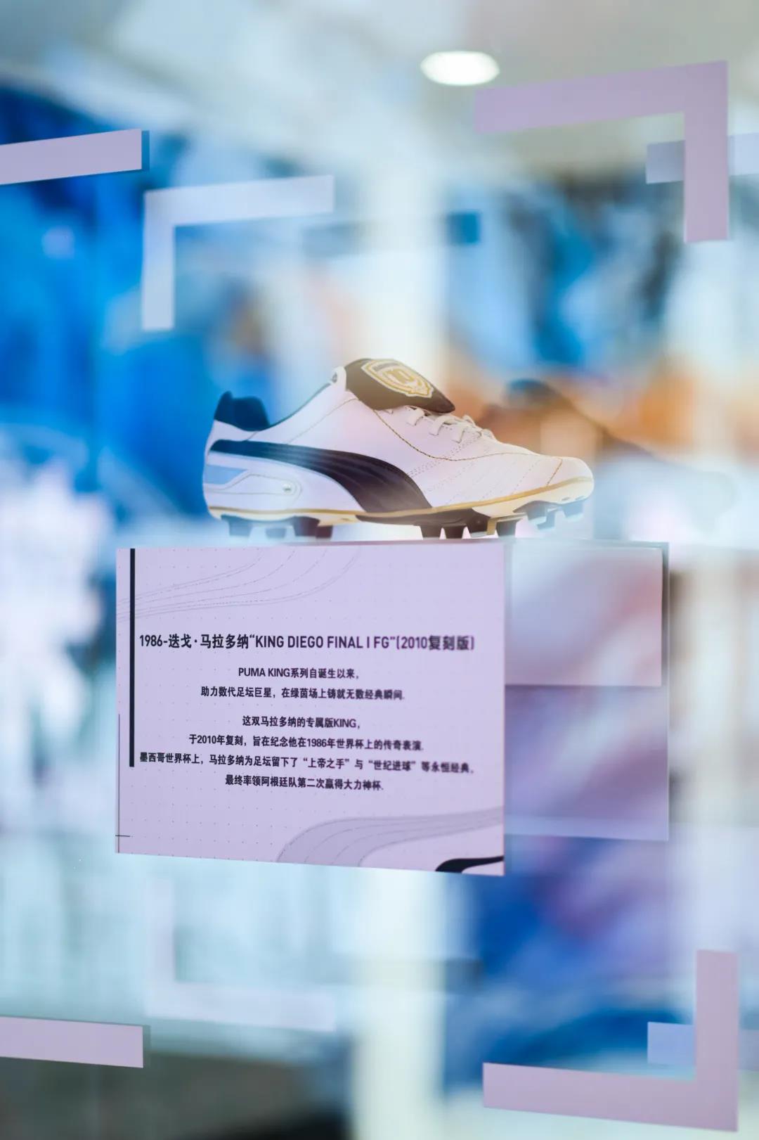 杨晨履历,杨晨与范志毅