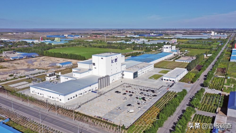 有图有真相的攻略,有图有真相逆战