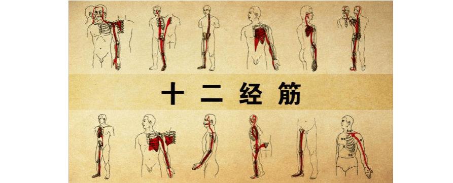 如何正确拉筋最有效,坐骨神经痛正确拉筋锻炼方法