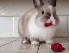 宝宝在医院的护理常识,宝宝应该怎样护理不得病