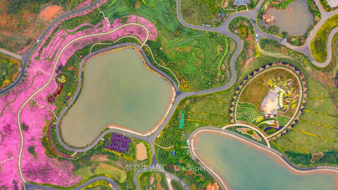 云南最美小镇图片,云南太平湖森林公园花海