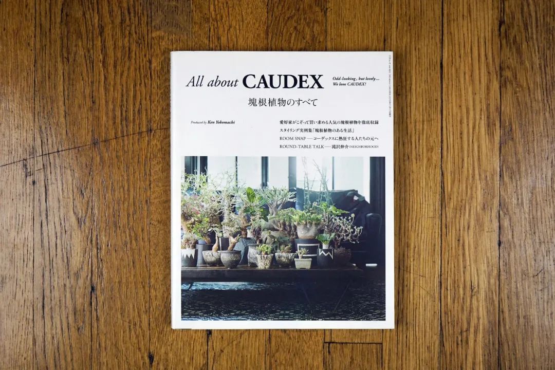 金盆洗手吧，植物杀手们